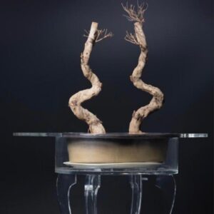 Flower Pot display table